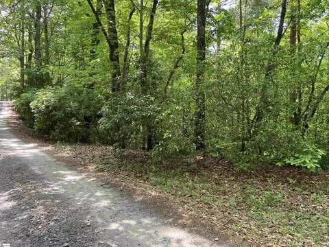 101 Cherokee Hills Trl, Pickens, SC 29671 photo 10