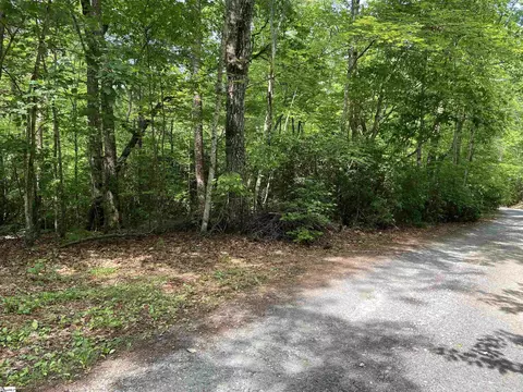 101 Cherokee Hills Trl, Pickens, SC 29671 photo 9