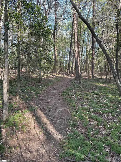 Npa Thompson Road, Greer, SC 29651