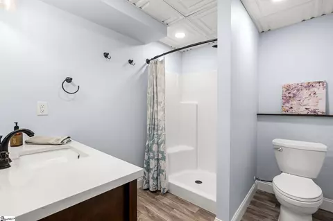 Bath - 546 Dunklin Bridge Rd, Pelzer, SC 29669 photo 2 of 2