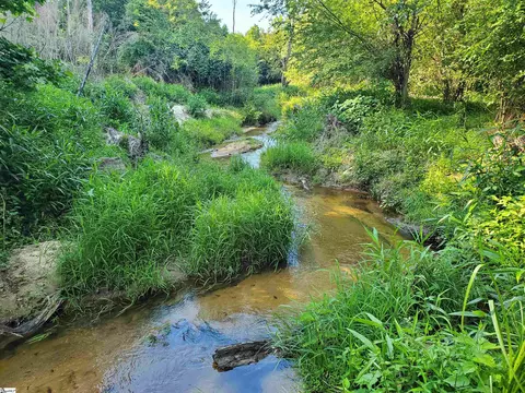 View/Area - 546 Dunklin Bridge Rd, Pelzer, SC 29669 photo 2 of 4