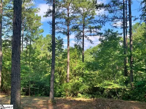 113 Stone Cove Rd, Sunset, SC 29685 photo 2