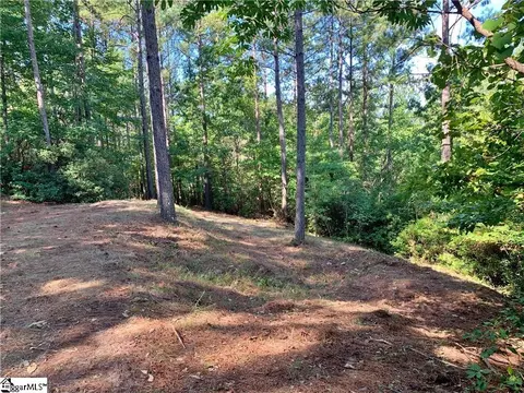 113 Stone Cove Rd, Sunset, SC 29685 photo 5