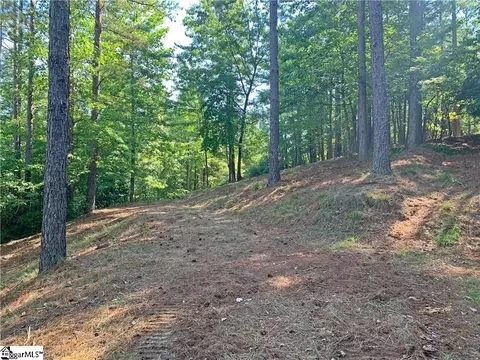 113 Stone Cove Rd, Sunset, SC 29685 photo 6