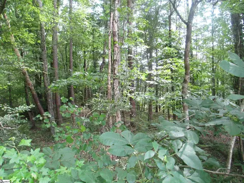 000 Bonner Rd, Mountain Rest, SC 29664