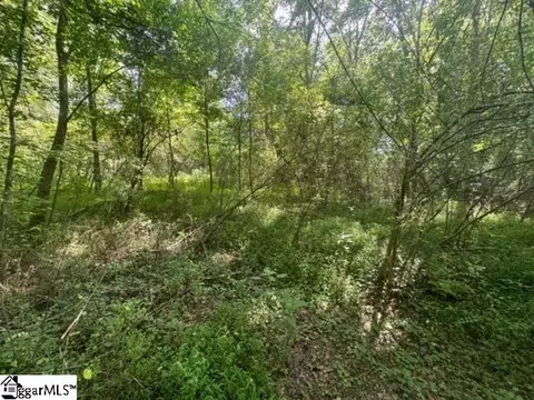 Walhalla Highway, Pickens, SC 29671 photo 3