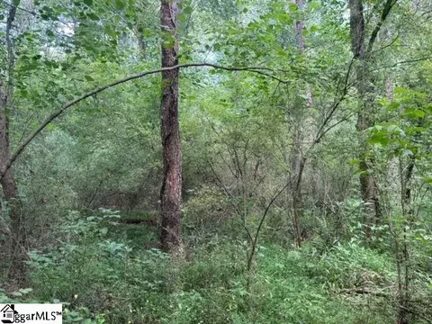 Walhalla Highway, Pickens, SC 29671 photo 6