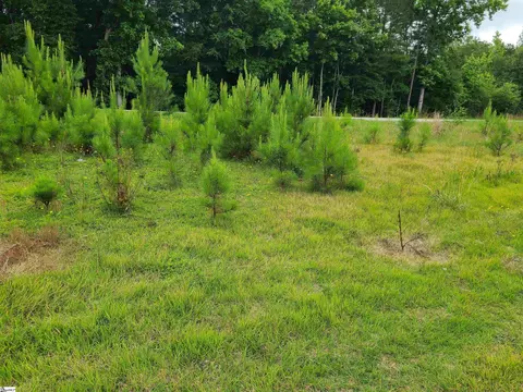 76 W Hwy, Honea Path, SC 29654 photo 3