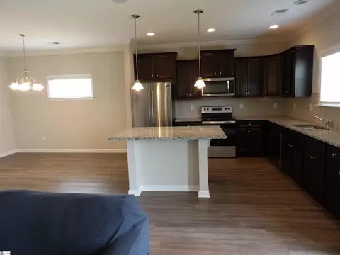 217 Press Way, Pendleton, SC 29670 photo 14