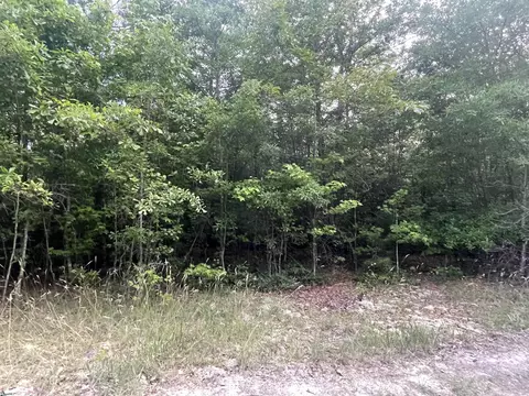 00 Conner Rd #LOT 6, Hodges, SC 29653