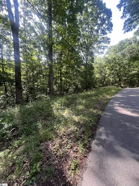 Dobson Road, Duncan, SC 29334 photo 2