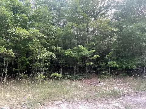 00 Conner Rd #LOT 10, Hodges, SC 29653