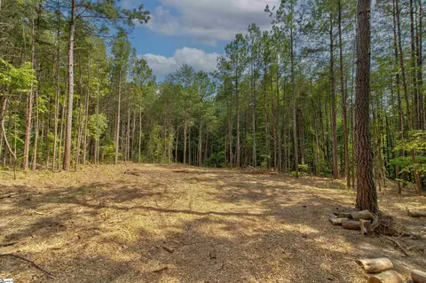 Mountain View Drive, Landrum, SC 29356