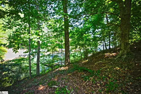 27 Crest Pointe Dr, Seneca, SC 29672 photo 19