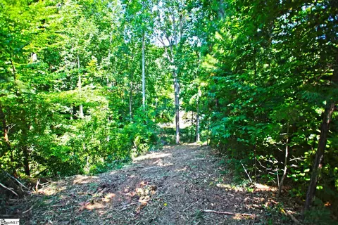27 Crest Pointe Dr, Seneca, SC 29672 photo 23
