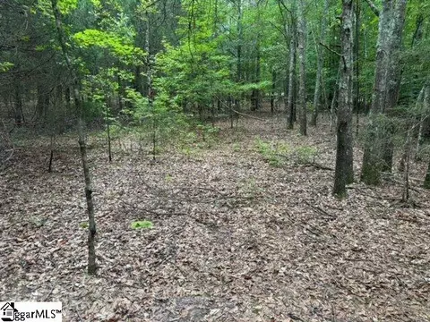 Cobb Road, Pelzer, SC 29669 photo 2