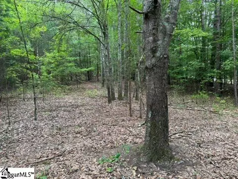 Cobb Road, Pelzer, SC 29669 photo 9