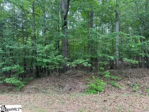 Cobb Road, Pelzer, SC 29669 photo 11