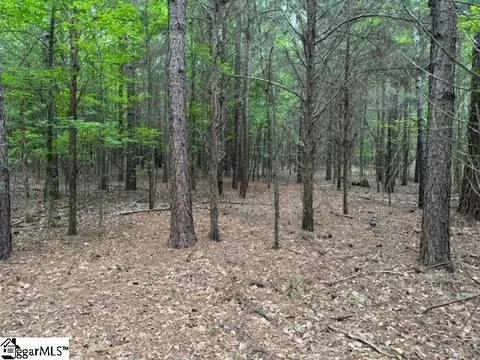 Cobb Road, Pelzer, SC 29669 photo 3