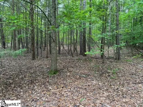 Cobb Road, Pelzer, SC 29669 photo 10