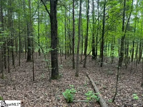 Cobb Road, Pelzer, SC 29669 photo 6