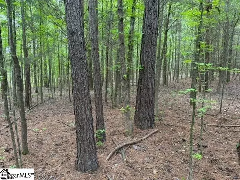 Cobb Road, Pelzer, SC 29669 photo 8
