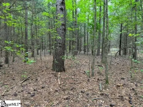 Cobb Road, Pelzer, SC 29669 photo 7