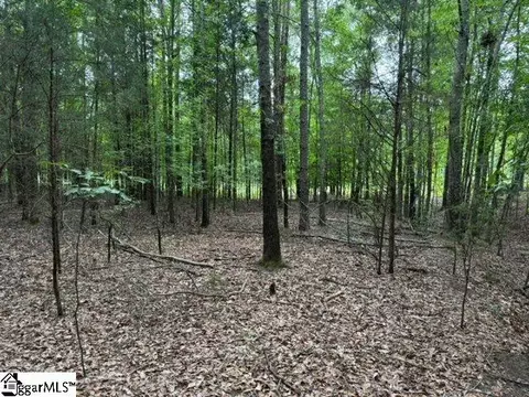 Cobb Road, Pelzer, SC 29669 photo 5