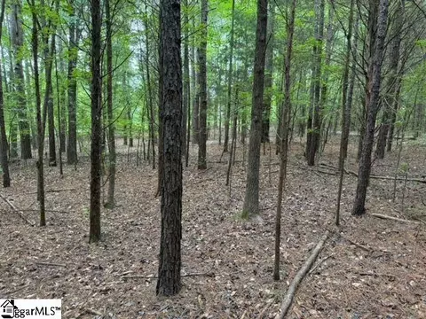 Cobb Road, Pelzer, SC 29669 photo 4