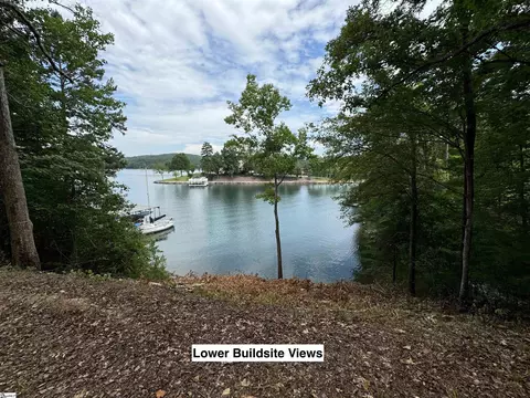 116 Yellowbear Way, Sunset, SC 29685 photo 5