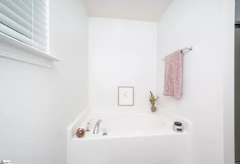 Bath - 30 Killarney Ln, Greer, SC 29650 photo 3 of 4