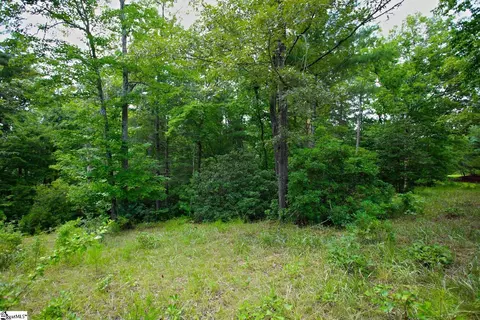 02 Pixie Moss Way, Sunset, SC 29685 photo 18