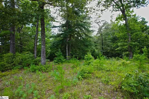 02 Pixie Moss Way, Sunset, SC 29685 photo 14