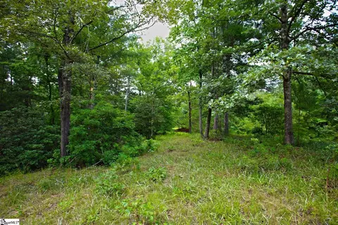 02 Pixie Moss Way, Sunset, SC 29685 photo 17