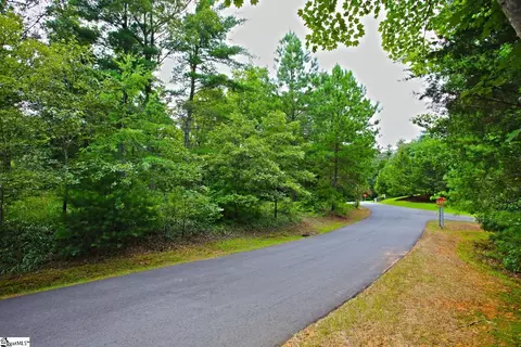 02 Pixie Moss Way, Sunset, SC 29685 photo 13