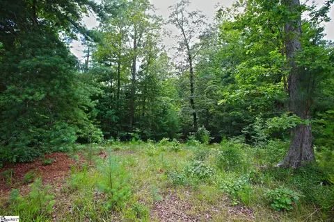 02 Pixie Moss Way, Sunset, SC 29685 photo 21
