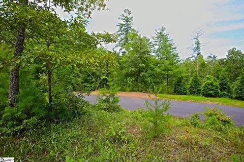 02 Pixie Moss Way, Sunset, SC 29685 photo 22