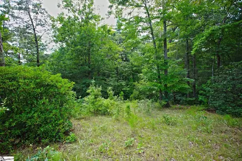 02 Pixie Moss Way, Sunset, SC 29685 photo 19
