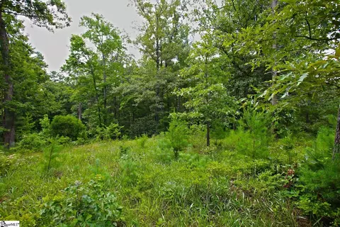 02 Pixie Moss Way, Sunset, SC 29685 photo 16