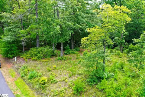 02 Pixie Moss Way, Sunset, SC 29685 photo 25