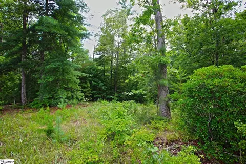 02 Pixie Moss Way, Sunset, SC 29685 photo 20