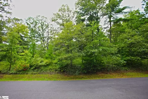 02 Pixie Moss Way, Sunset, SC 29685 photo 11