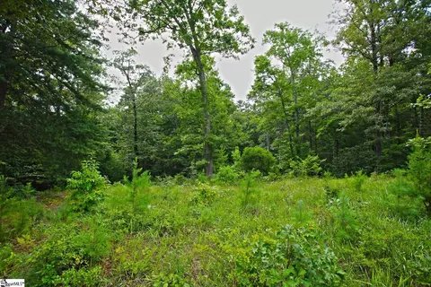 02 Pixie Moss Way, Sunset, SC 29685 photo 15