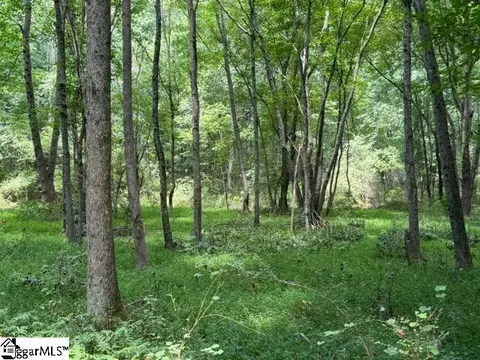 Sitton Hill Road, Easley, SC 29642 photo 10