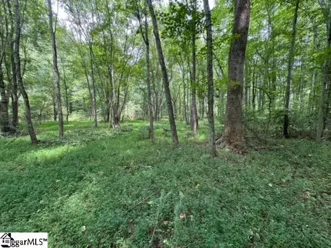 Sitton Hill Road, Easley, SC 29642 photo 3