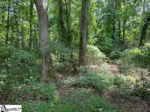 Sitton Hill Road, Easley, SC 29642 photo 16