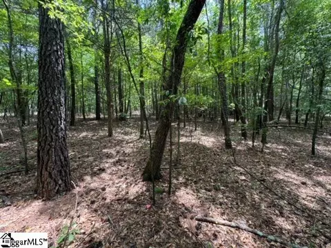 Sitton Hill Road, Easley, SC 29642 photo 6