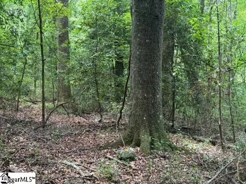 Sitton Hill Road, Easley, SC 29642 photo 8