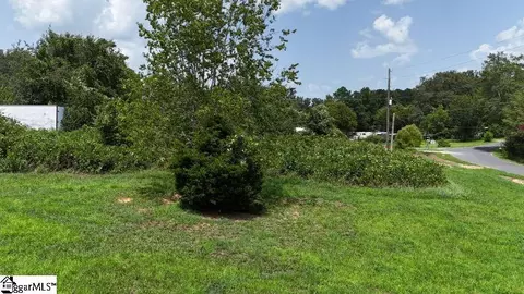 Serene Drive, Waterloo, SC 29384 photo 6