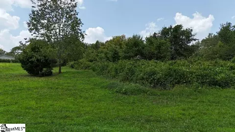 Serene Drive, Waterloo, SC 29384 photo 5